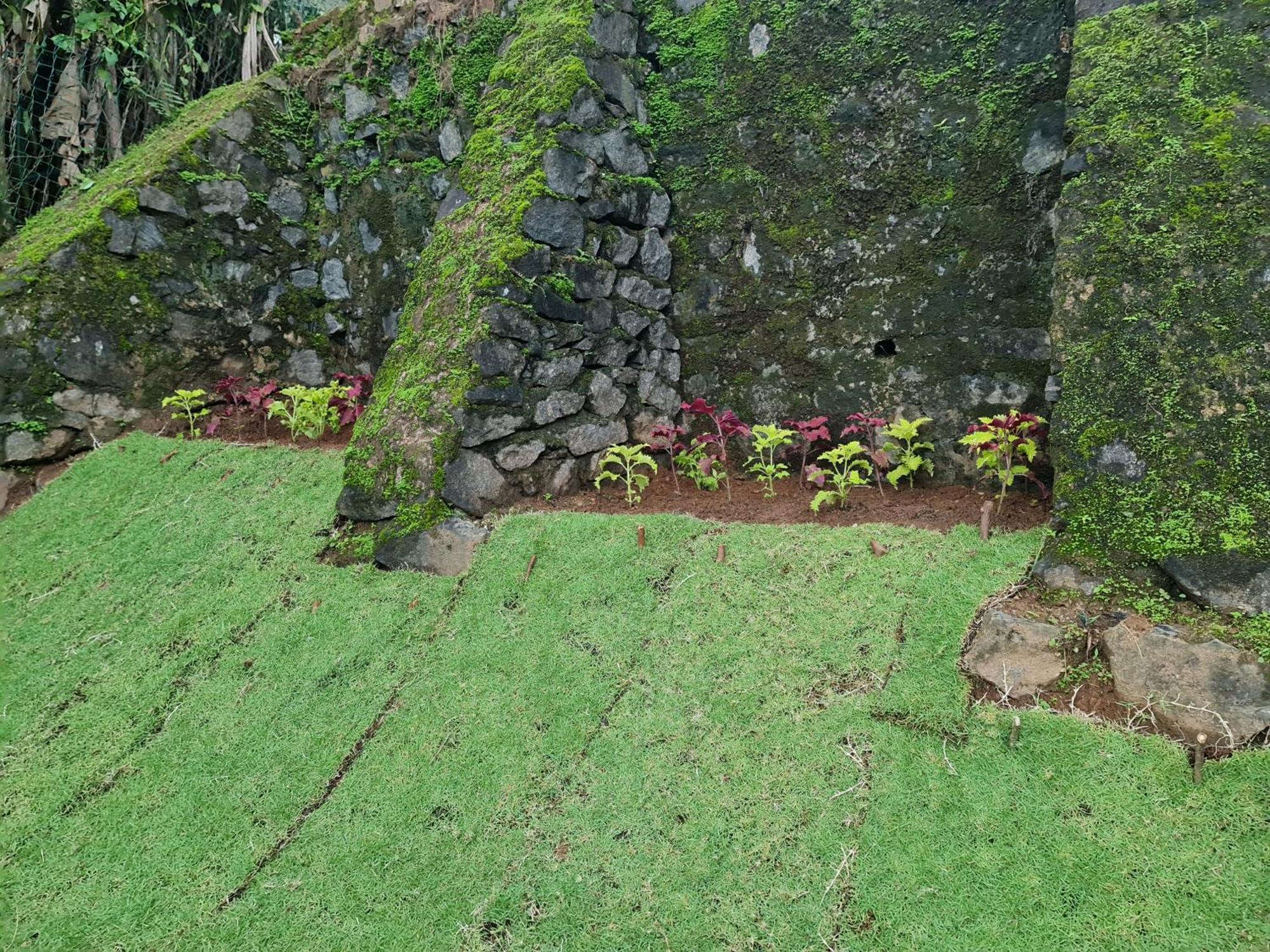 Hello Kandy Homestay Екстер'єр фото