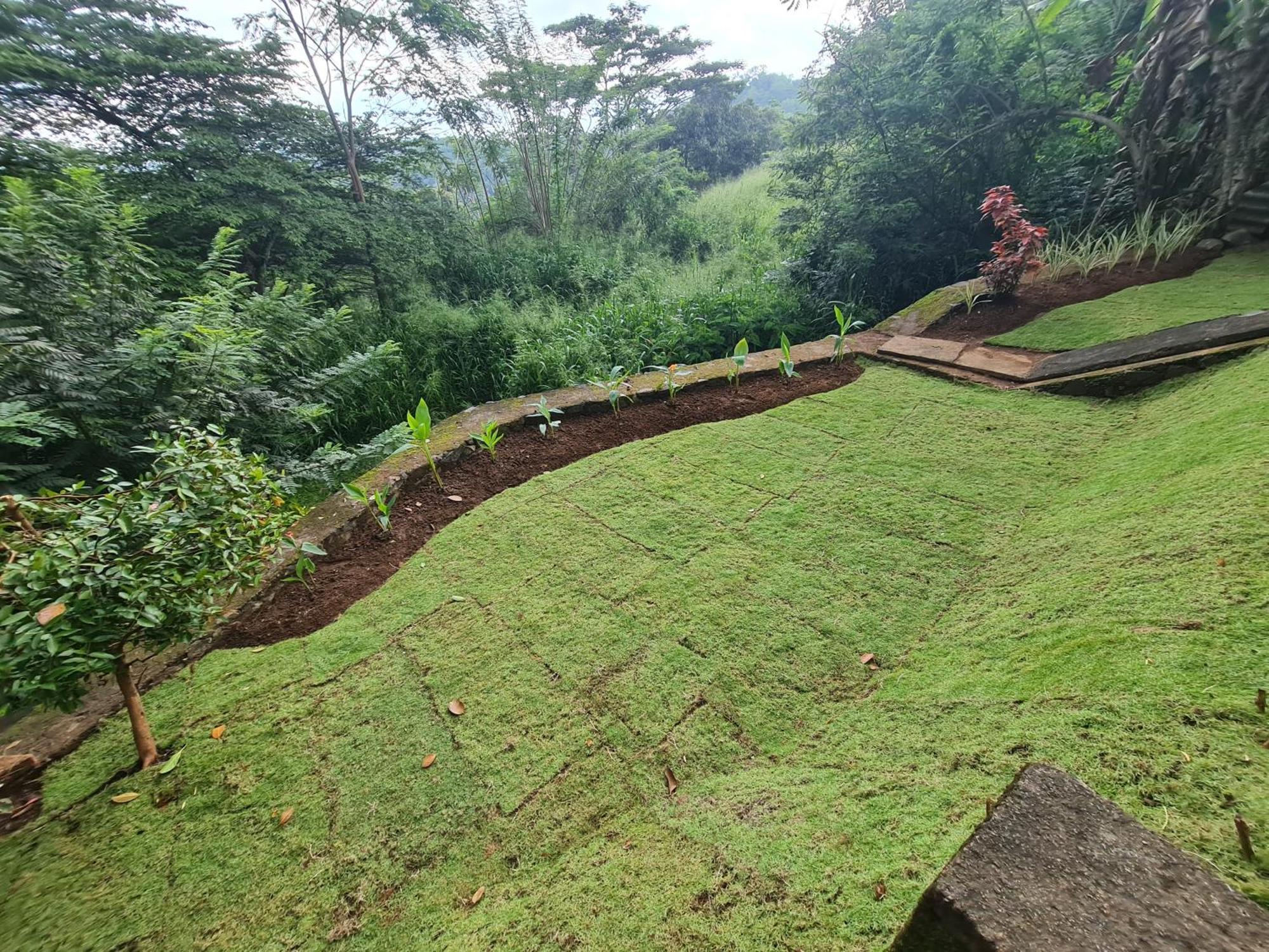 Hello Kandy Homestay Екстер'єр фото